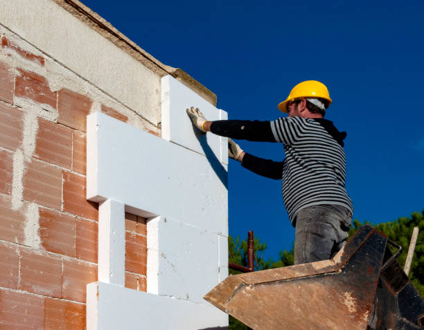 Best Cellulose Insulation  in Mapleton, UT