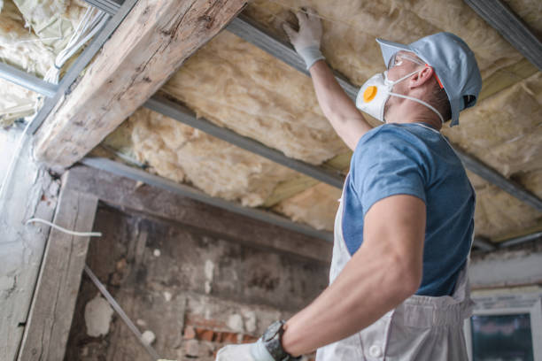 Best Professional Insulation Contractor  in Mapleton, UT