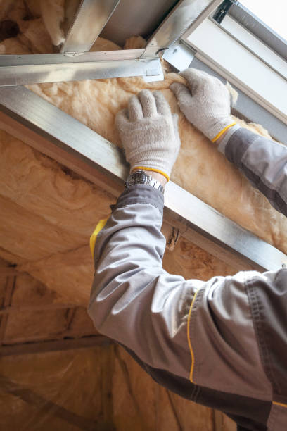 Best Best Insulation Companies  in Mapleton, UT