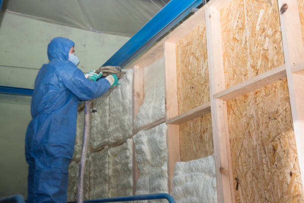 Best Insulation Contractor Near Me  in Mapleton, UT
