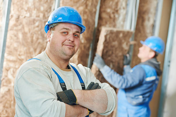 Best Local Insulation Services  in Mapleton, UT
