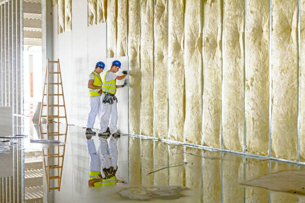 Best Commercial Insulation Contractor  in Mapleton, UT